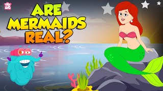 Are Mermaids Real  Story of Mermaids  The Truth Behind the Mermaid Myth  The Dr Binocs Show [upl. by Belsky]