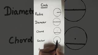 CircleParts of circleRadiusDiameterChordsectorSegmentshorts maths trendingshorts viral [upl. by Bigner]