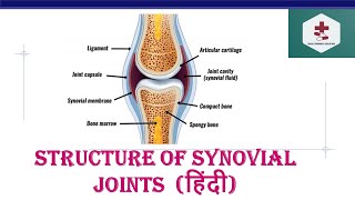 Structure of Synovial joints in Hindi Characteristics synovial fluid  Structure Function [upl. by Elitnahc308]