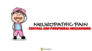 Neuropathic Pain  Central and Perihperal Mechanism  Neuroaholic [upl. by Elocon]