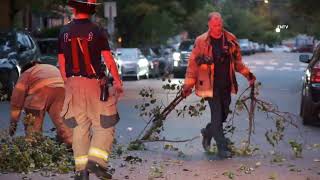 Tree Down on Car Pavonia Ave  Jersey City NJ [upl. by Mcbride]