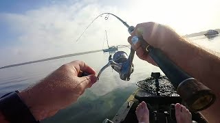 Lake Macquarie Bream Fishing  Chain Valley Bay  04072019 [upl. by Laddy855]