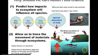 Bioaccumulation and Biomagnification [upl. by Adnoek]