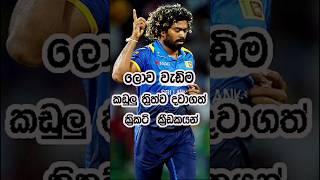 ලොව වැඩිම කඩුලු ත්‍රිත්ව දවාගත් ක්‍රිකට් ක්‍රීඩකයන් 😍🏏 cricket ipl hattrick fastbowler spinner [upl. by Bove]