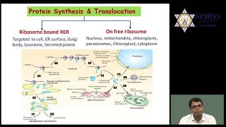 Protein Sorting and secretory pathway [upl. by Amin]