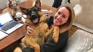 When your dog is your soulmate ❤️️ Cute Dog And Human Moments [upl. by Liag302]