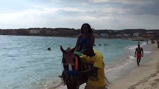 michyboo riding horse hellshire beach jamaica [upl. by Stanford]