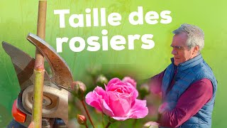 La taille des rosiers  Pourquoi quand et surtout comment  Tout savoir [upl. by Evette]