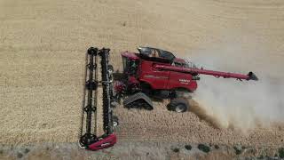 JTI Case IH 9250 Hillside Tracked Combine [upl. by Sarnoff335]