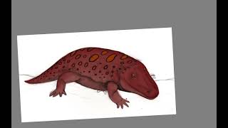 Eryops Digital drawing  colored [upl. by Laamaj]