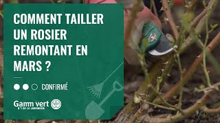 TUTO Comment tailler un rosier remontant en mars   Jardinerie Gamm vert [upl. by Stagg900]