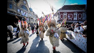 Kurentovanje 2020 Medcelinsko srečanje tradicionalnih pustnih likov in mask – Etno povorka [upl. by Lemire257]