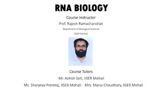 Epitranscriptome and Protein Synthesis Important RNA Modifications [upl. by Noyerb]