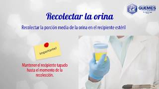 instrucciones para recolectar una muestra de Urocultivo [upl. by Berri89]