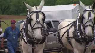 Middle Tennessee Mule Skinners  Tennessee Crossroads  Episode 26021 [upl. by Adnahcir]