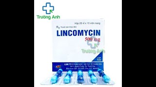 Lincomycin 500mg Thephaco  Thuốc điều trị nhiễm khuẩn đường hô hấp [upl. by Serrano]