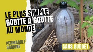 Comment créer et installer un goutte à goutte très simple avec bouteille et sans budget [upl. by Aillicsirp]