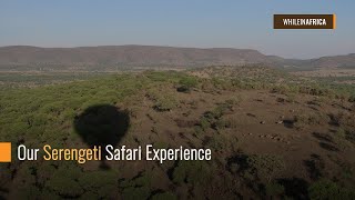 Our Serengeti Safari Experience [upl. by Chauncey469]