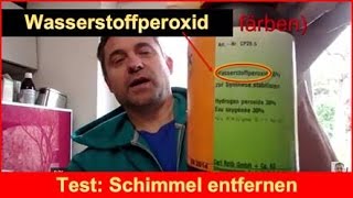 Test Schimmel entfernen mit Wasserstoff Peroxid [upl. by Enirolf]