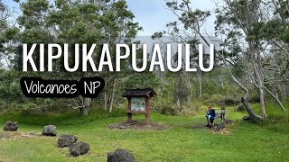 Hiking Kipukapuaulu trail in Volcanoes NP  Big Island Hawaii [upl. by Hobey]