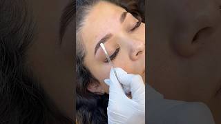 Hybrid Tint 🤎 browtutorial browtint browmapping eyebrow browlamination browwax [upl. by Melnick]