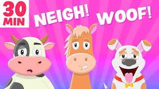 Funny Animal Sounds Song PLUS more kids  Silly Billy Toons [upl. by Concordia25]