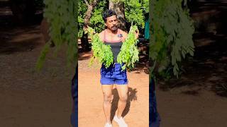 Diet plan Ideas tamil  Healthy Life style  Sathish fitness tamil [upl. by Berfield]