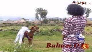 Taju Ahmed  Bokkaan roobee Oromo Music [upl. by Magner]