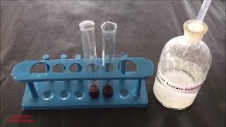 Phytochemical Test for Tannins  Identification Test for Tannins  टेनिन का टेस्ट कैसे करते है [upl. by Sible297]