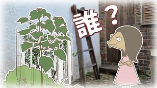 勝手に生えてくる木の正体と対策【たのしく学ぶ🔰】 [upl. by Ecirtaeb]