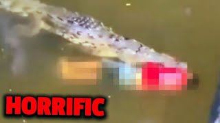 Don’t Watch This If You Are Scared Of Crocodiles [upl. by Ymer702]