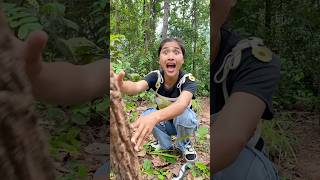 Survival Skills In Forest Kitten rescue survival bushcraft camping outdoors forest kitten [upl. by Acirred619]