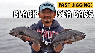 Fastest Black Sea Bass Jigging Action  Fishing with Rod [upl. by Merete]