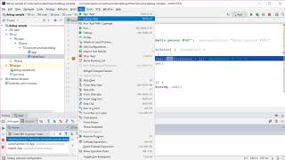 Debugging Java in IntelliJ IDEA [upl. by Cormack]