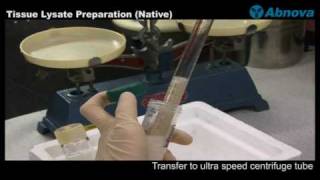 Tissue Lysate Preparation Native [upl. by Winola]