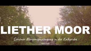 Liether Moor  Schöner Morgenspaziergang in der Liether Kalkgrube [upl. by Alegnave]