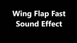 Wing Flap Fast Sound Effect [upl. by Annahsal948]