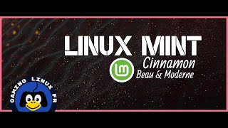 Linux Mint moderne et clinquant en trois clics [upl. by Einahpats109]