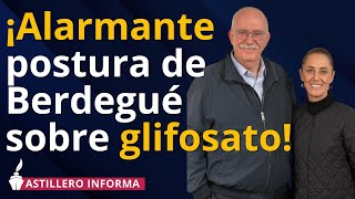 Titular de SADER debe resistir presión de industria plaguicida y consejos agroempresariales experto [upl. by Willie171]