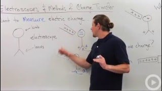 Charge Transfer  Electroscope [upl. by Perni]