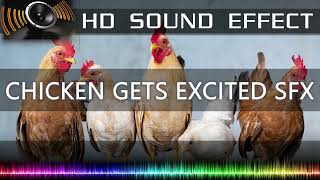 Chicken Flapping Sound Effect 🔉🐔  CLUCKING  HQ [upl. by Jasmina]