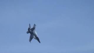 Duluth Airshow 2016  FA18 Super Hornet Navy TAC Demonstration [upl. by Atteragram]