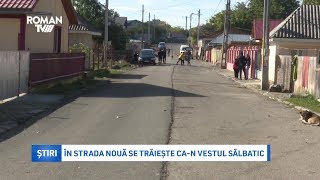 În Strada Nouă se trăiește can Vestul Sălbatic [upl. by Audras364]