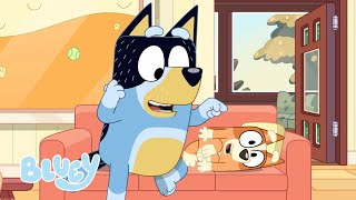 Full Bluey Minisodes  Part 1 💙  Bingo 3000 Three Pigs Hungry and Animals  Bluey [upl. by Priscilla]