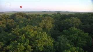 Ballonfeesten kleurich útein [upl. by Trelu76]