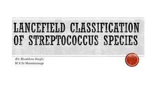 Lancefield classification of streptococcus species [upl. by Notfol]