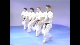 Kokutsu Dachi  Mae Geri Shuto Mawashi Uke Morote Tsuki [upl. by Cl]