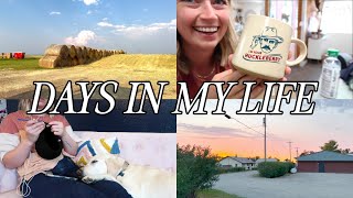 A FEW DAYS IN MY LIFE  a busy work week visiting the ranch a chatty vlog [upl. by Mathre]