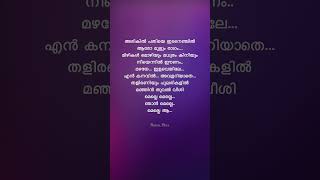 Arikil Pathiye💓songlyrics malayalam moviesong evergreen viralsong trending shortsfeed love [upl. by Akiras]