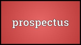 Prospectus Meaning [upl. by Htnnek939]